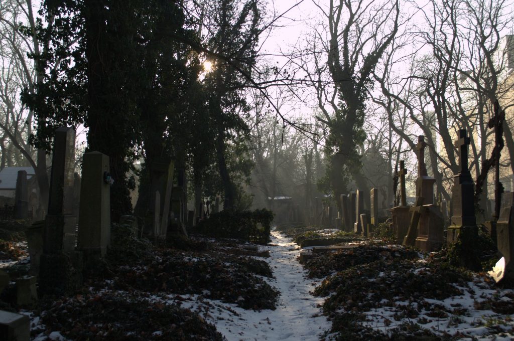 Olšanské hřbitovy - Prags größter Friedhof