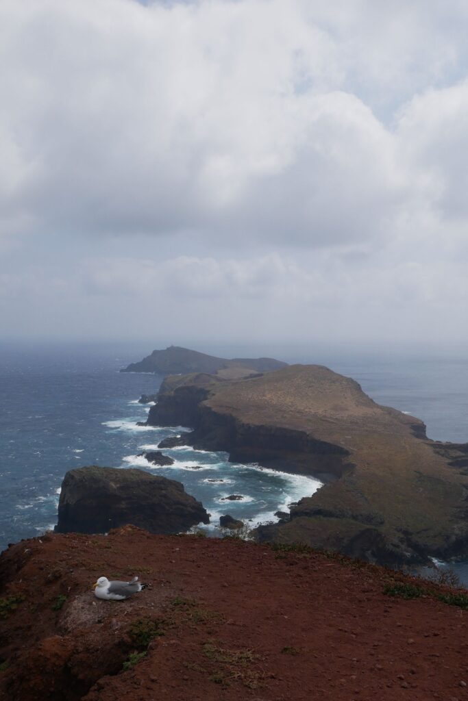10 Dinge die Madeira zu einem Top-Reiseziel machen