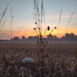 (M-)ein Sommermoment